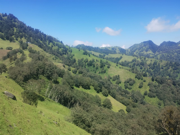 Terreno en venta en Lomas de Chapultepec, Xalapa — foto 2 de 16