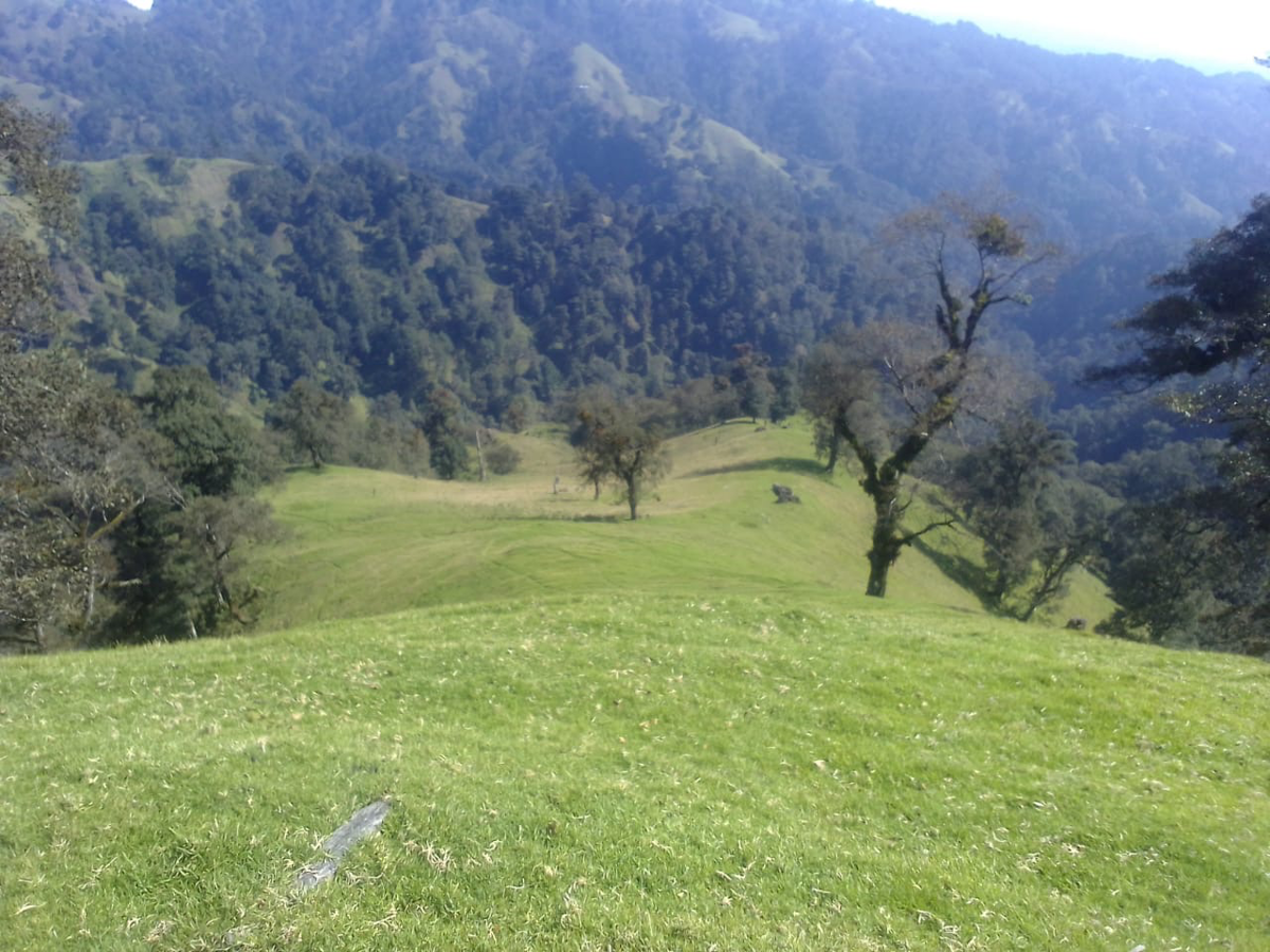 Terreno en venta en Lomas de Chapultepec, Xalapa — foto 1 de 16