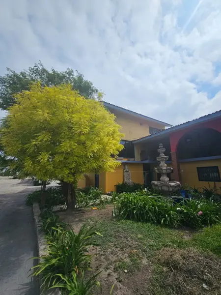 Oficina en renta en Mixcoac, Guadalupe — foto 3 de 15