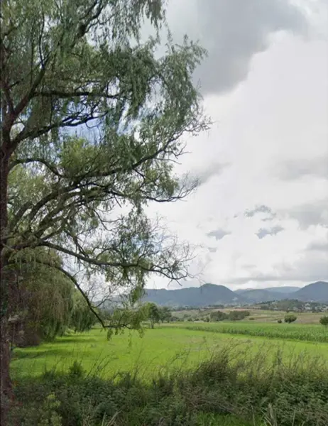 Terreno en venta en San Isidro las Trojes, Otzolotepec — foto 2 de 4