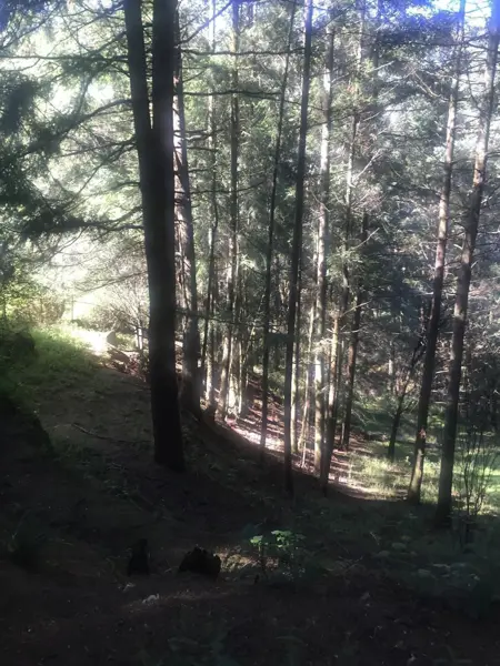 Terreno en venta en Santa Maria Mazatla, Jilotzingo — foto 3 de 17