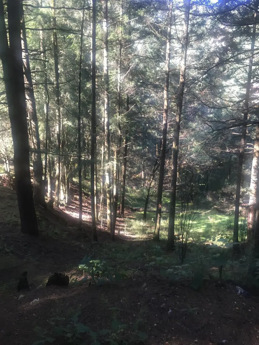 Terreno en venta en Santa Maria Mazatla, Jilotzingo — foto 1 de 17