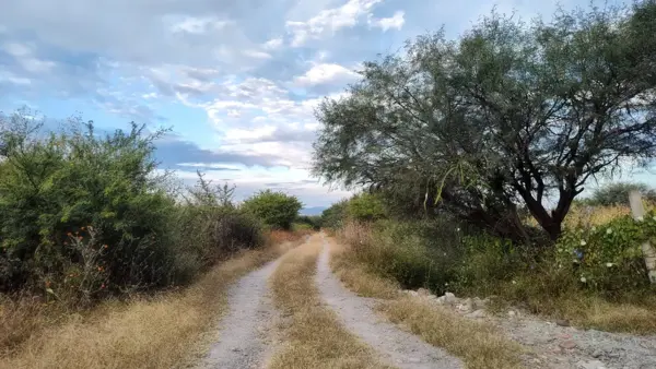 Terreno en venta en Los Cues, Huimilpan — foto 3 de 13