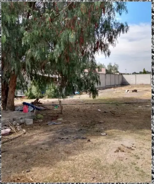 Terreno en venta en Coxotla, Papalotla — foto 3 de 4
