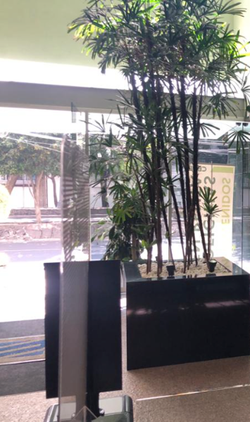 Oficina en renta en Polanco I Sección, Miguel Hidalgo — foto 2 de 13