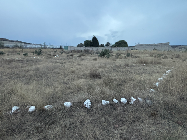 Terreno en venta en Tlapacoya – Zona de alto crecimiento Terreno en venta en Tlapacoya – Zona de alto crecimiento