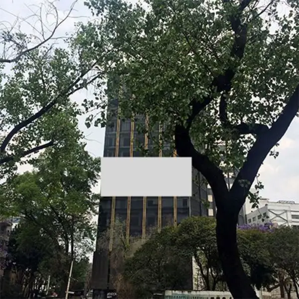 RENTA DE OFICINAS EN INSURGENTES SUR 271.38m2, $81,414.00 RENTA DE OFICINAS EN INSURGENTES SUR 271.38m2, $81,414.00