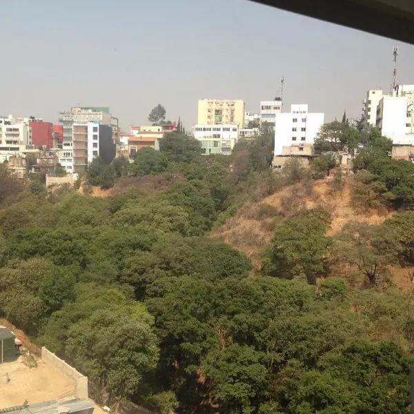 Departamento en venta en Bosques de las Lomas, Cuajimalpa de Morelos — foto 3 de 13