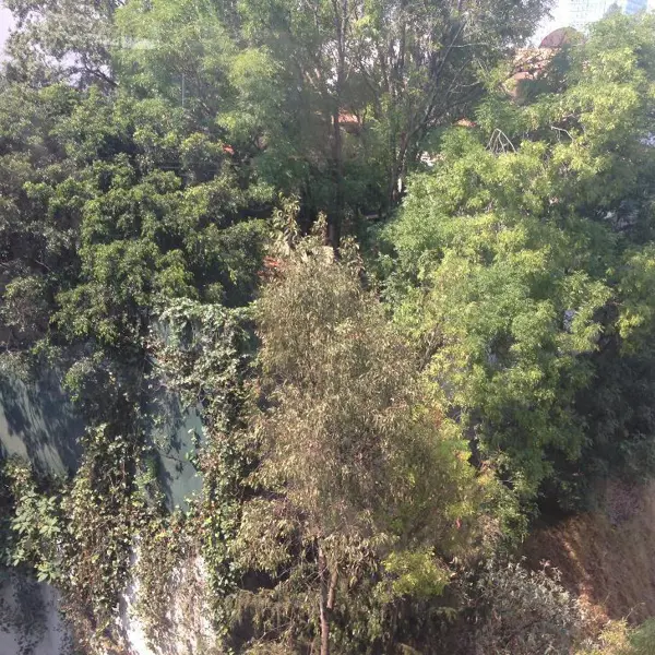 Departamento en venta en Bosques de las Lomas, Cuajimalpa de Morelos — foto 2 de 13