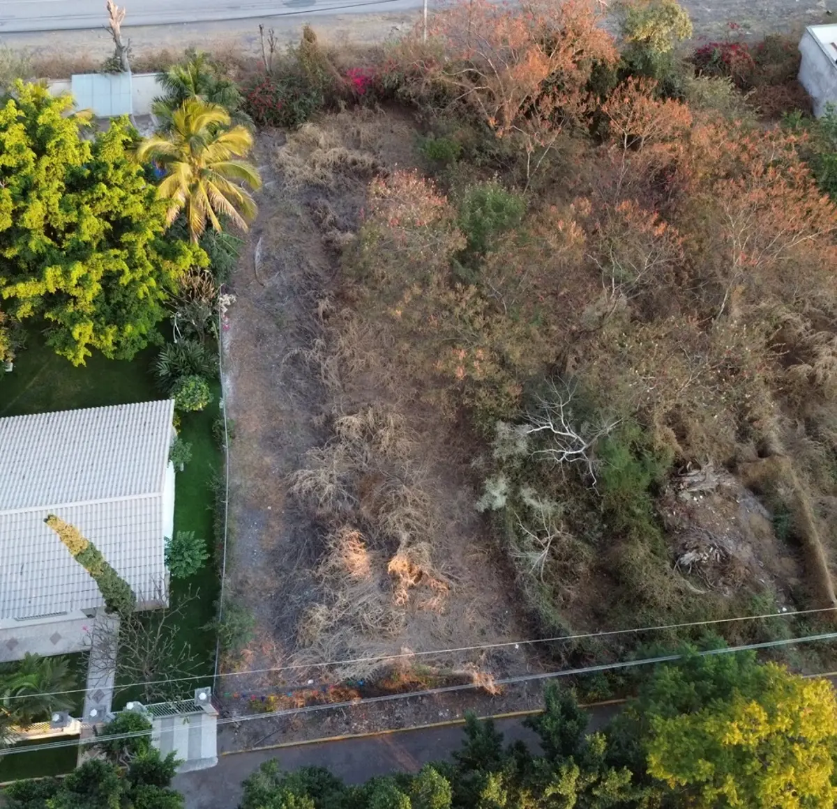 Terreno en venta en Los Vergeles, Tepalcingo — foto 1 de 8