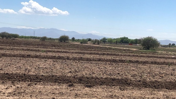 Terreno en venta en Andalucía, Matamoros — foto 3 de 4