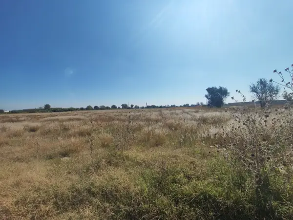 Terreno en venta en Cuautlancingo, Cuautlancingo — foto 3 de 4