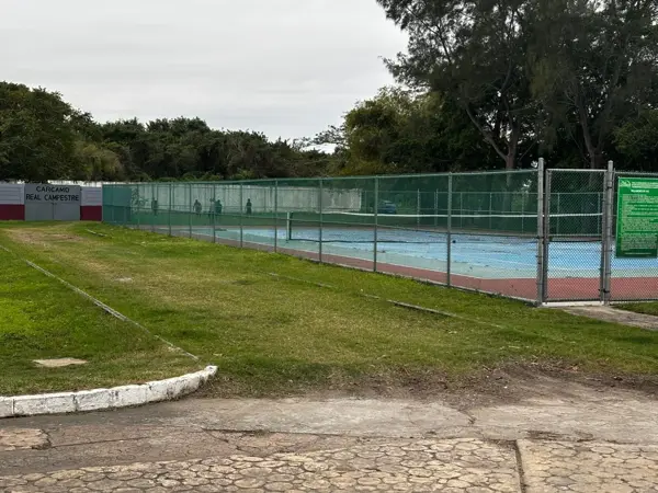 Casa en renta en Residencial Real Campestre, Altamira — foto 3 de 15