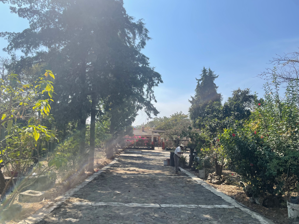 Atención Inversionistas!! Excelente Casa con Amplio Terreno — foto 1 de 9