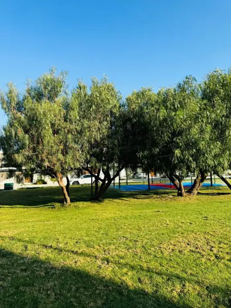 Casa en venta en Miralta Hábitat, Pachuca de Soto — foto 2 de 18