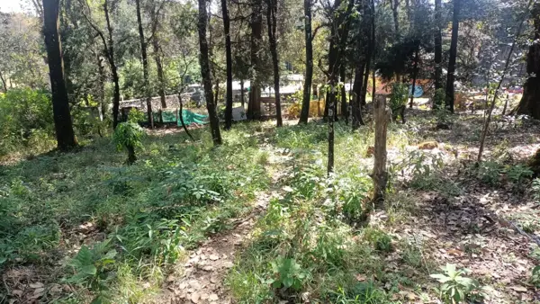 Terreno en venta en San José de La Montaña, Huitzilac — foto 3 de 6