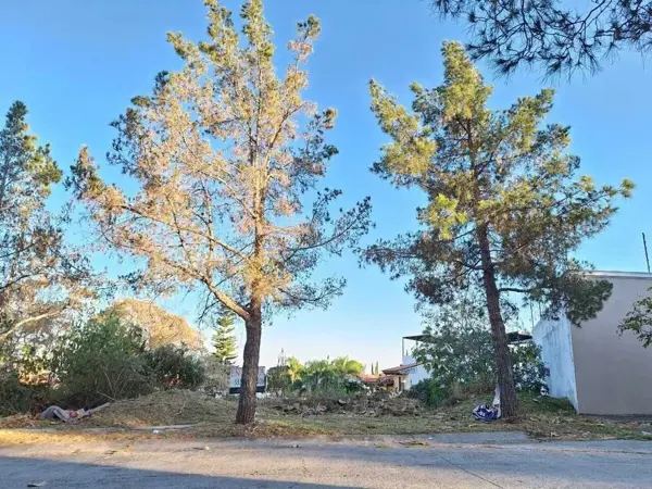 Terreno en venta en Ciudad Bugambilia, Zapopan — foto 3 de 6