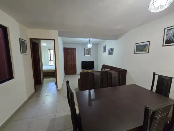 Departamento en renta en Zirándaro, San Miguel de Allende — foto 3 de 21
