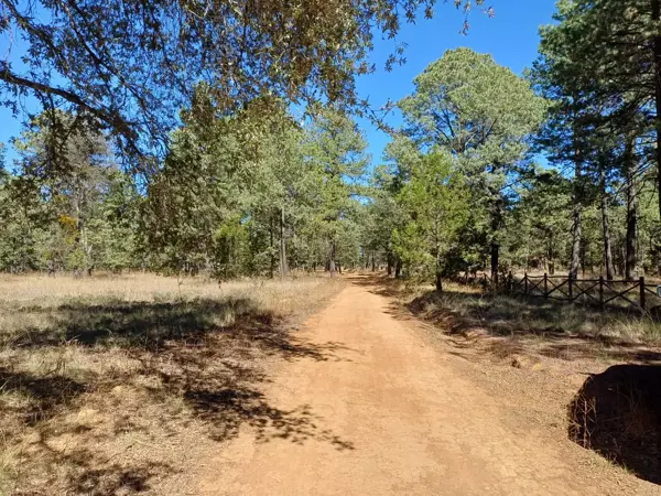 Terreno Campestre de 2,000 m² en Ecoparque La Providencia, Durango