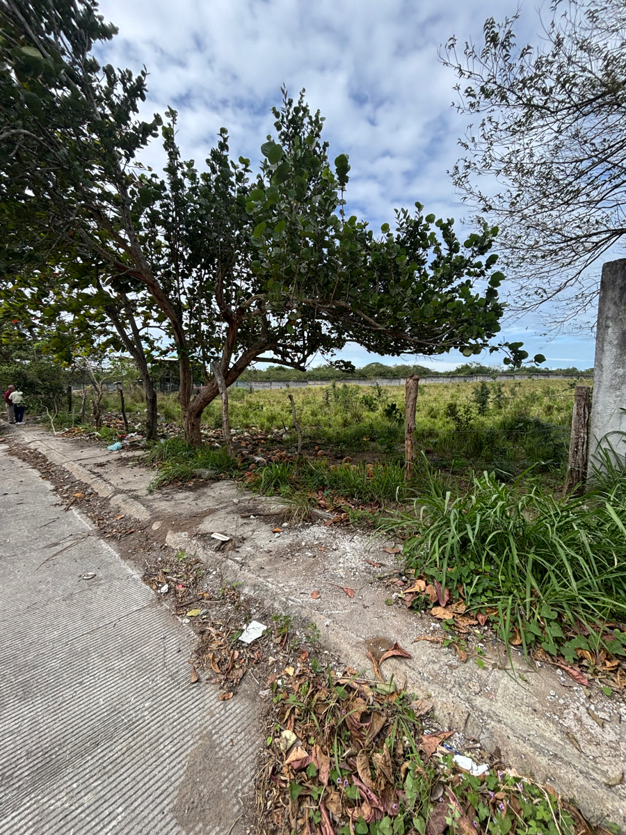 Terreno en venta en Mata de Pita, Veracruz — foto 1 de 4