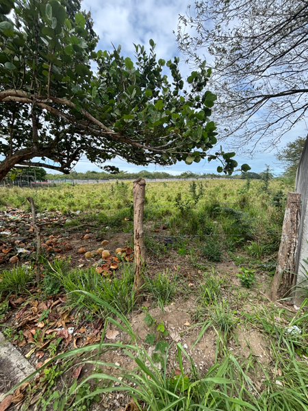 Terreno en venta en Mata de Pita, Veracruz — foto 2 de 4