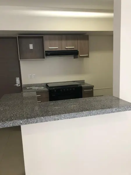 Departamento en renta en Santa Fe, Álvaro Obregón — foto 3 de 38