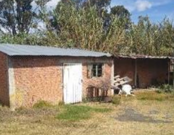 Terreno en venta en Chipilo de Francisco Javier Mina, San Gregorio Atzompa — foto 3 de 9
