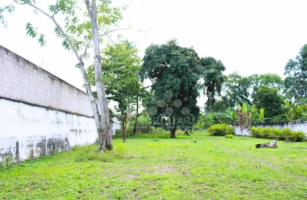 Terreno en venta en González 1ra. Sección, Centro — foto 3 de 5