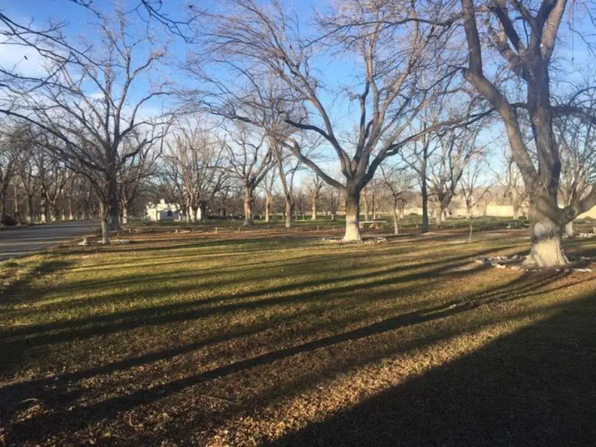 Terreno en Venta en Del Marquez, Parras, Coahuila de Zaragoza Terreno en Venta en Del Marquez, Parras, Coahuila de Zaragoza