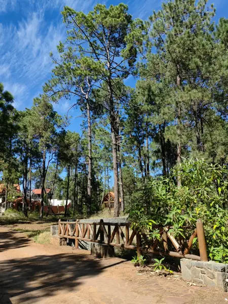 Terreno en venta en San José Ocotillos, Huasca de Ocampo — foto 2 de 4