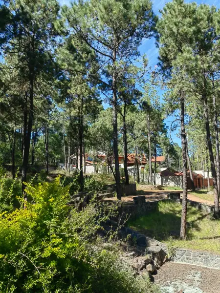 Terreno en venta en San José Ocotillos, Huasca de Ocampo — foto 3 de 4