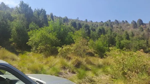 Terreno en venta en Santiago Xalitzintla, San Nicolás de los Ranchos — foto 2 de 4