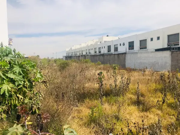 Terreno en venta en San Bernardino Tlaxcalancingo, San Andrés Cholula — foto 2 de 5