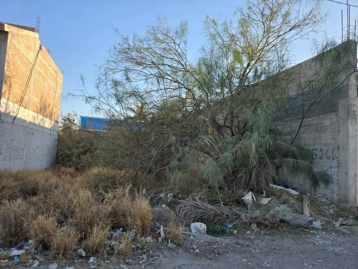 TERRENO EN VENTA CALLE DE LOS AZULES TORREON TERRENO EN VENTA CALLE DE LOS AZULES TORREON