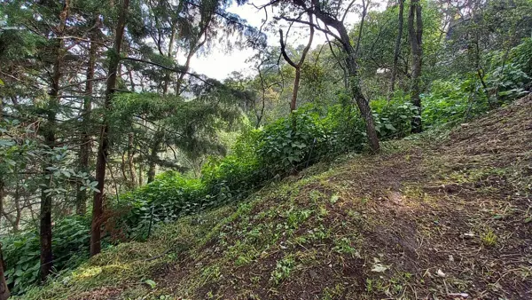 Terreno en renta en Cuajimalpa, Cuajimalpa de Morelos — foto 3 de 14