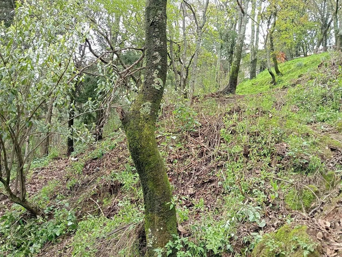 Terreno en renta en Cuajimalpa, Cuajimalpa de Morelos — foto 1 de 14
