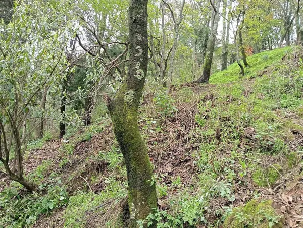 Terreno en venta y renta  Ahuatenco, Cuajimalpa de Morelos, CDMX