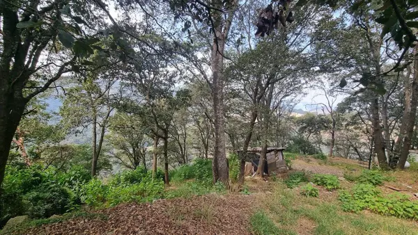Terreno en renta en Cuajimalpa, Cuajimalpa de Morelos — foto 2 de 14