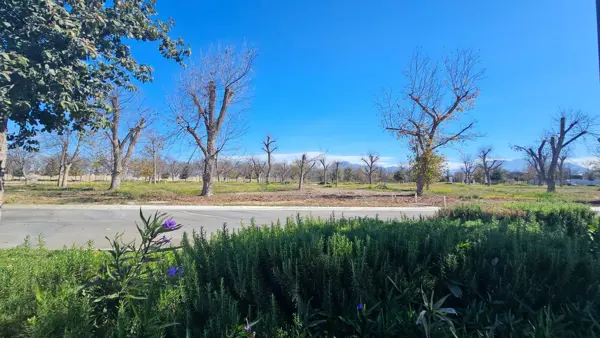 Terreno en venta en Peña Alta, Saltillo — foto 3 de 5