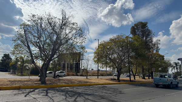 Terreno en venta en El Pirul, Salamanca — foto 3 de 4