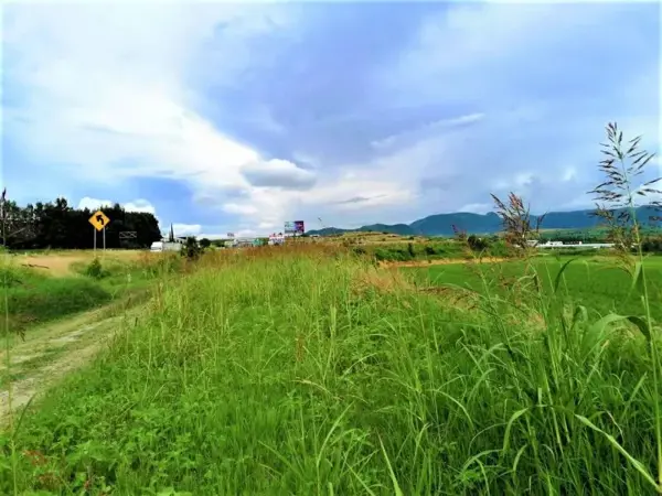 Terreno en venta en Atlixco Centro, Atlixco — foto 2 de 3