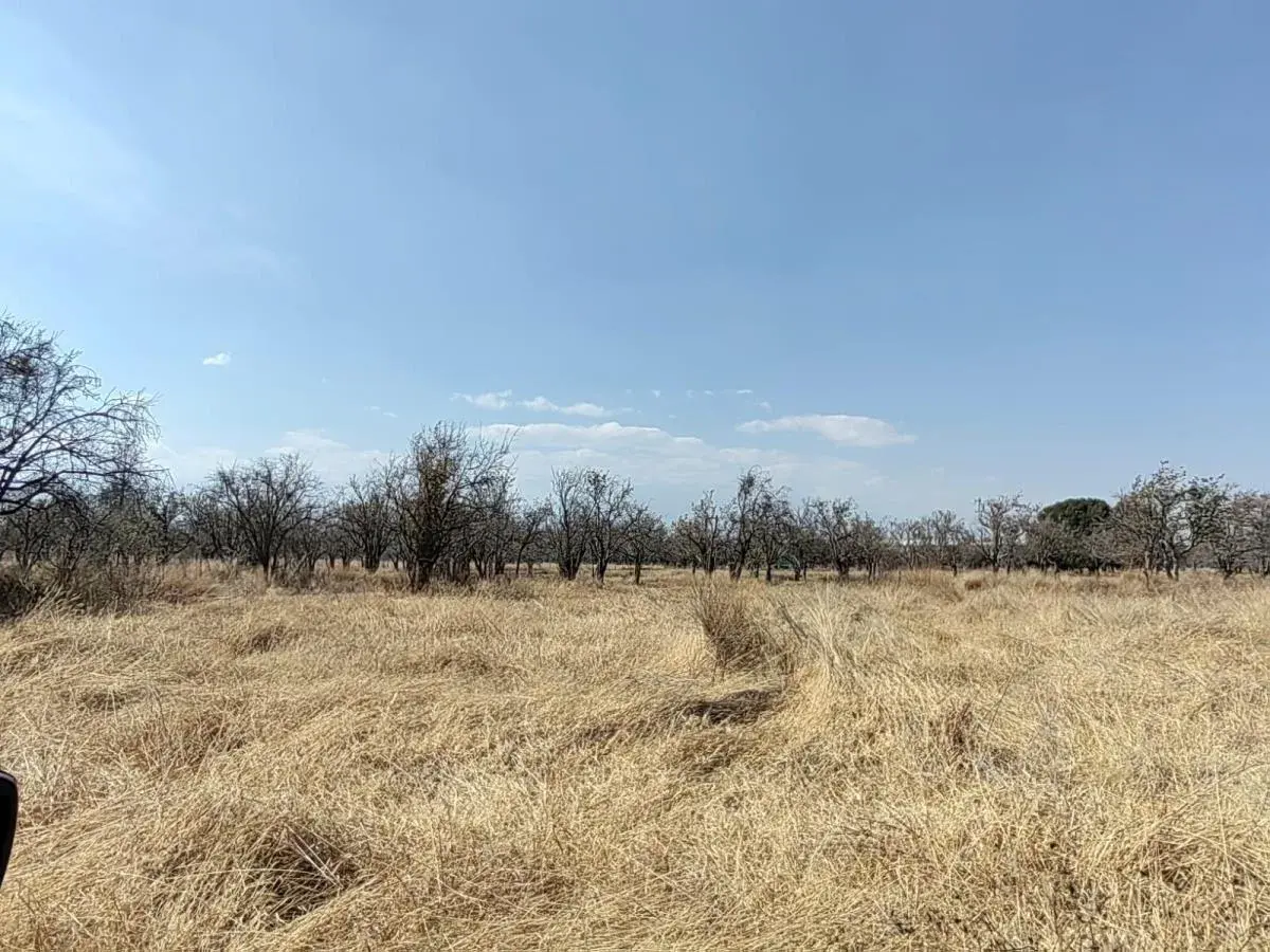 Terreno en venta en Huejotzingo Centro, Huejotzingo — foto 1 de 2