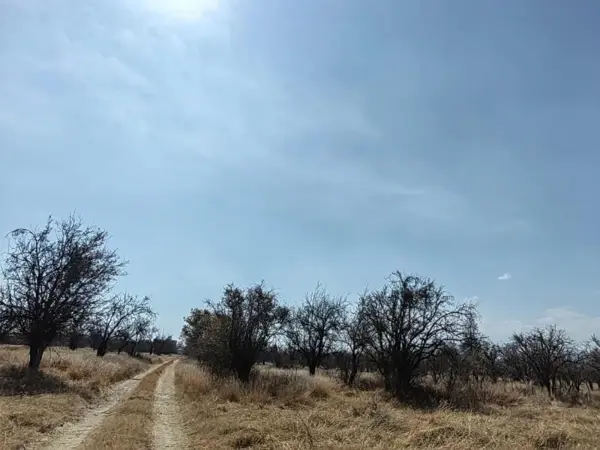 Terreno en venta en Huejotzingo Centro, Huejotzingo — foto 2 de 2