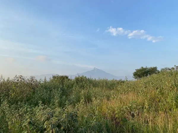 Terreno en renta en Valle Soleado, Guadalupe — foto 3 de 13