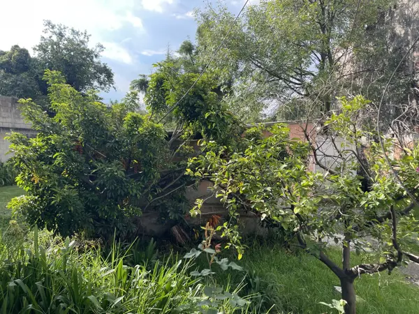 Terreno en venta en San Jeronimo Lidice, La Magdalena Contreras — foto 3 de 8