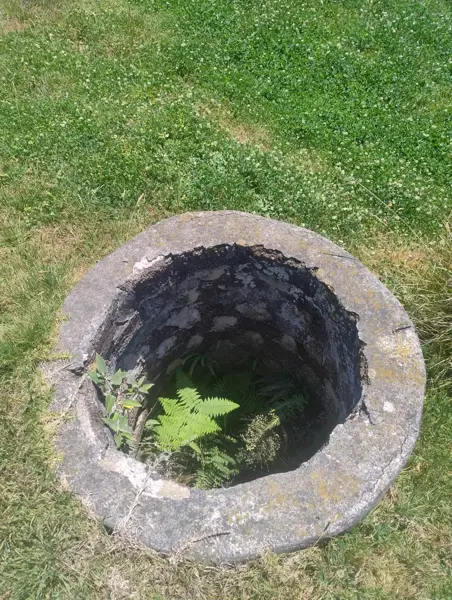 Terreno en venta en Techachalco, Acaxochitlán — foto 2 de 9