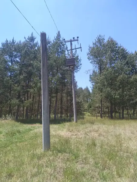 Terreno en venta en Techachalco, Acaxochitlán — foto 3 de 9