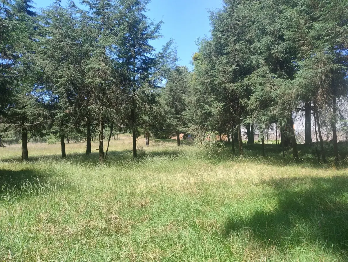 Terreno en venta en Techachalco, Acaxochitlán — foto 1 de 9