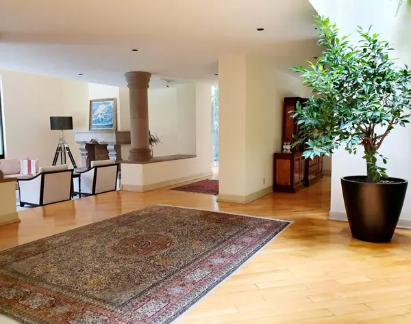 Casa en venta en Jardines del Pedregal, Álvaro Obregón — foto 3 de 48