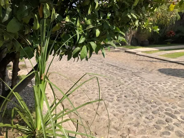 Casa en venta en Lomas de la Selva Norte, Cuernavaca — foto 3 de 26